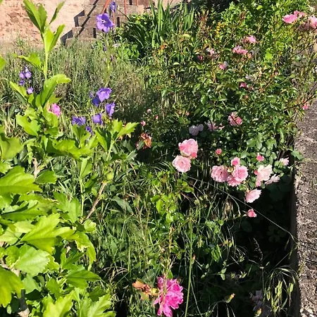 Les Rosiers Σπίτι διακοπών *