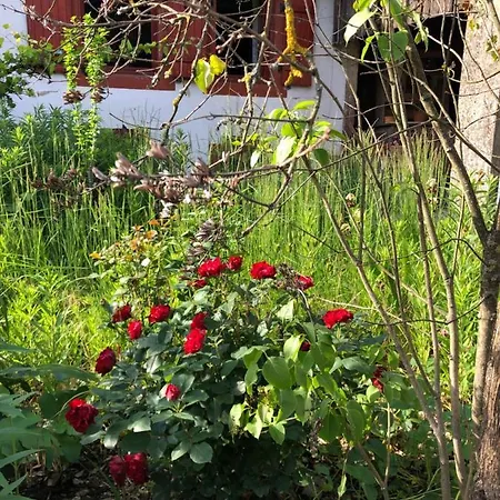 Σπίτι διακοπών Les Rosiers