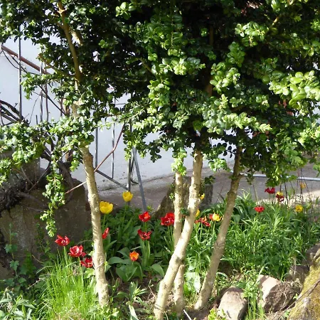 Holiday home Les Rosiers